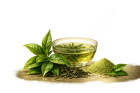 Green Tea Extract